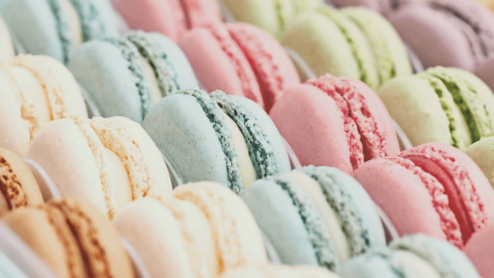 Artisan French kosher macarons Gredier Paris